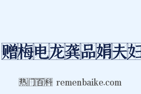赠梅电龙龚品娟夫妇是什么意思的图片
